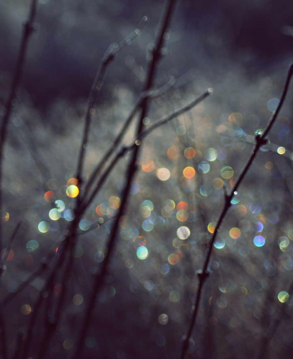 photodune-714913-winter-scene-with-spectrum-light-bokeh-in-grass-l