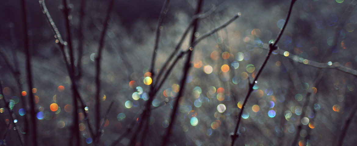 photodune-714913-winter-scene-with-spectrum-light-bokeh-in-grass-l