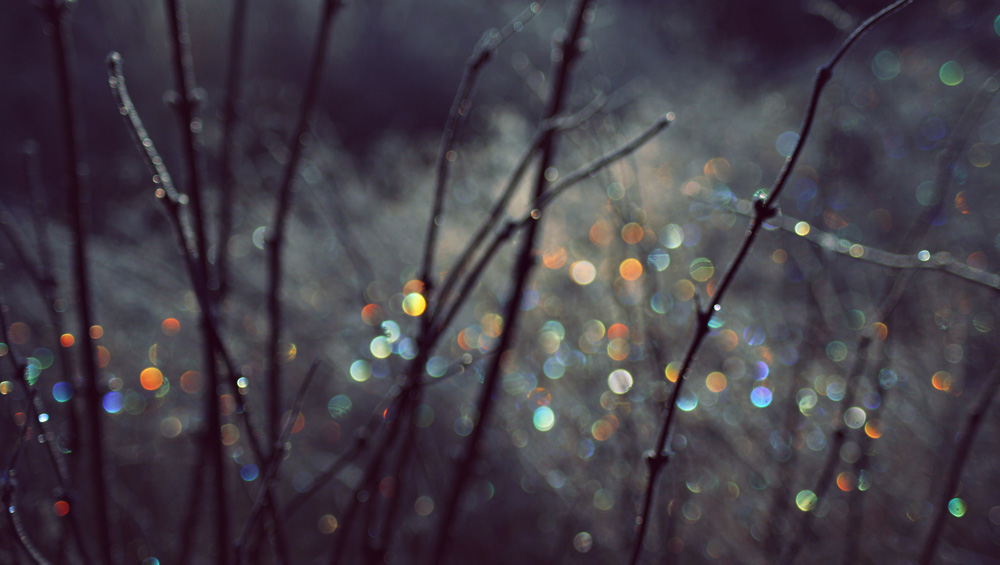 photodune-714913-winter-scene-with-spectrum-light-bokeh-in-grass-l