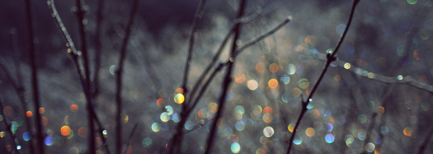 photodune-714913-winter-scene-with-spectrum-light-bokeh-in-grass-l